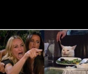 Создать мем: cat meme, мемы с котами, woman yelling at a cat мем
