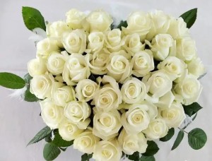 Create meme: white roses greeting cards, white roses, rose avalansh