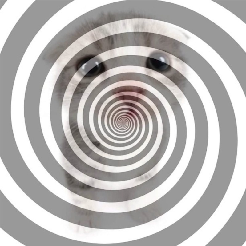Create meme: hypno, hypnotic, optical illusions