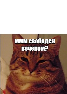 Создать мем: добрый кот мем, кот, улыбающийся кот мем