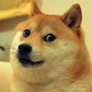 Create meme: doge meme, doge, doge dog