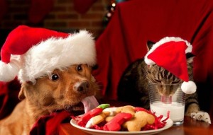 Создать мем: еда для животных в новый год, новогодняя собака, новогодние животные