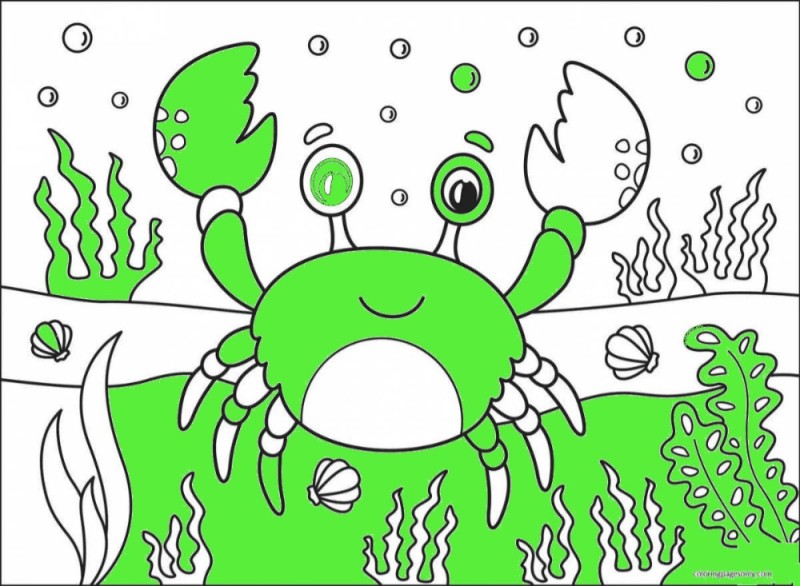 Create meme: crab coloring book, crab coloring book for kids, crab drawing for children