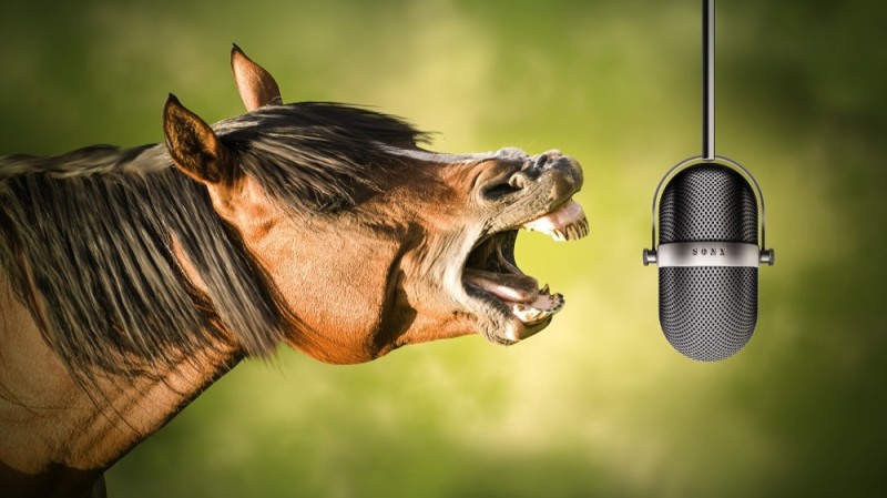Create meme: funny horse, microphone , text 