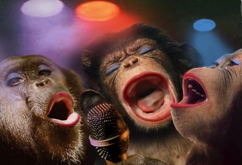 Create meme: singing monkeys, happy birthday in Russian, a monkey with a microphone