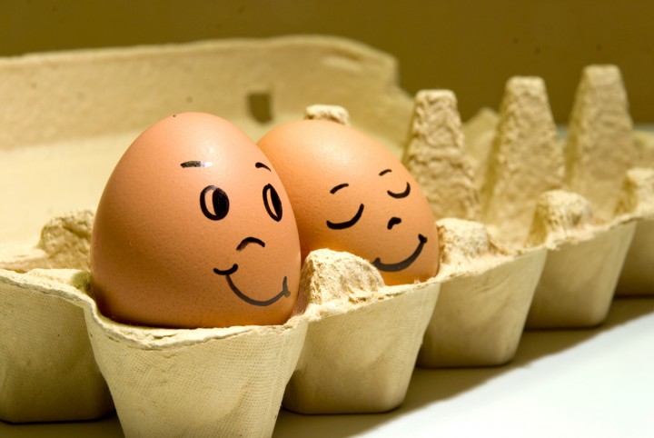 Create meme: world egg day, funny eggs, eggs are a joke