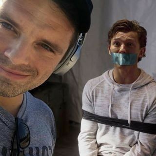 Create meme: guy , Sebastian Stan and Tom Holland, Stan 