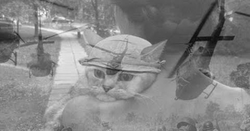 Create meme: cat flashbacks, cat flashbacks vietnam, Vietnam flashback cat