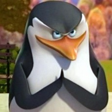 Create meme: penguin skipper, skipper, the penguins of Madagascar