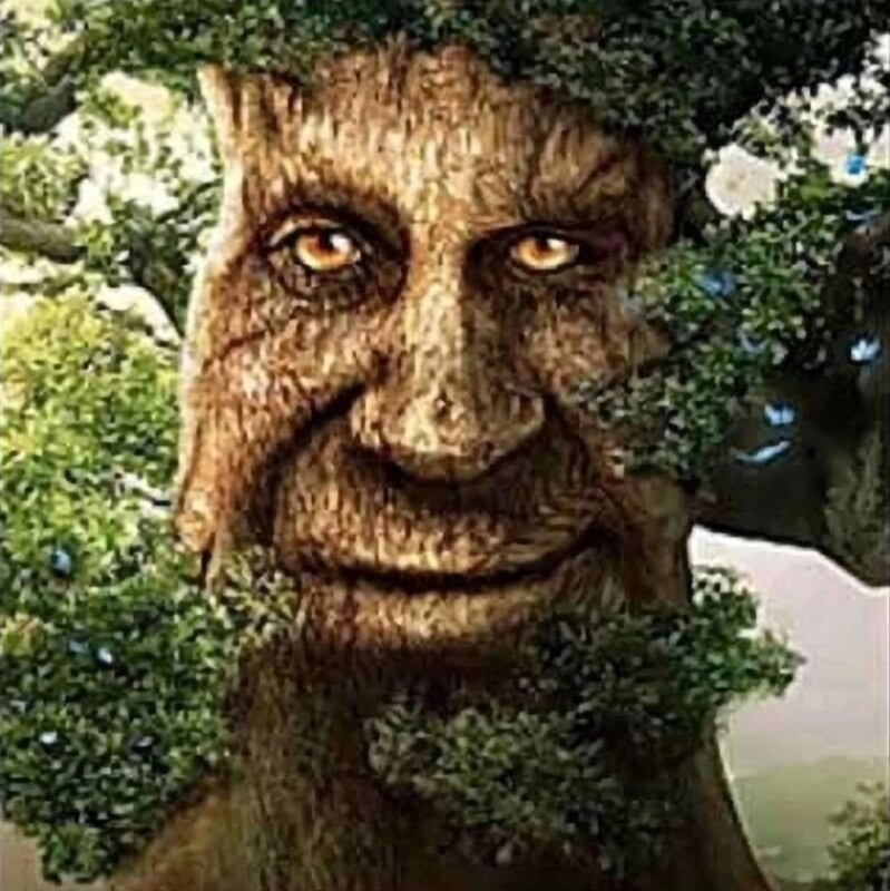 Создать мем: мистическое мудрое дерево, дерево живое, мистическое дерево