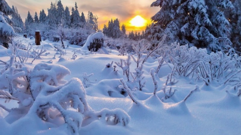 Create meme: winter beauty, winter nature, winter landscape