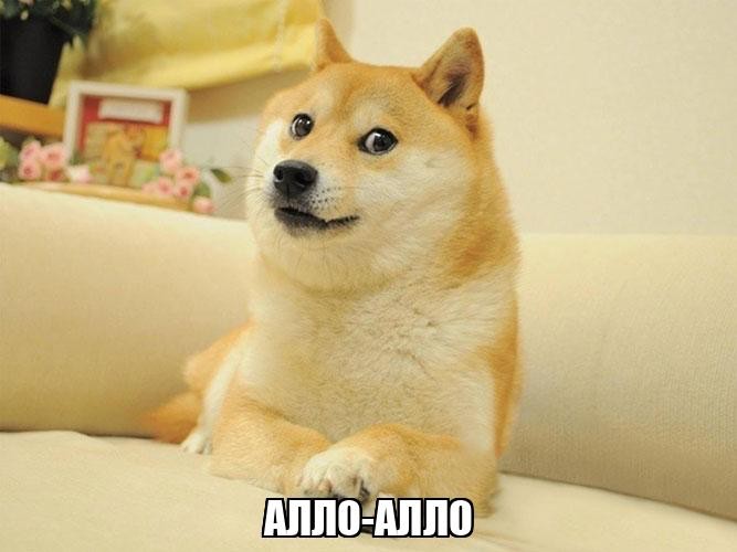 Create meme: shiba inu, doge dog , meme dogs 