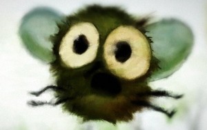 Создать мем: удивленная муха, муха, мультяшная муха с синяками под глазами