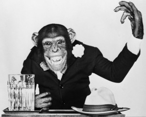 Создать мем: обезьяна, бонзо обезьяна, шимпанзе с сигаретой