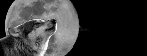Create meme: wolf moon, the howling wolf, wolf howling at the moon