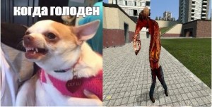 Create meme: angry dog meme, evil Chihuahua meme, chihua Hua meme