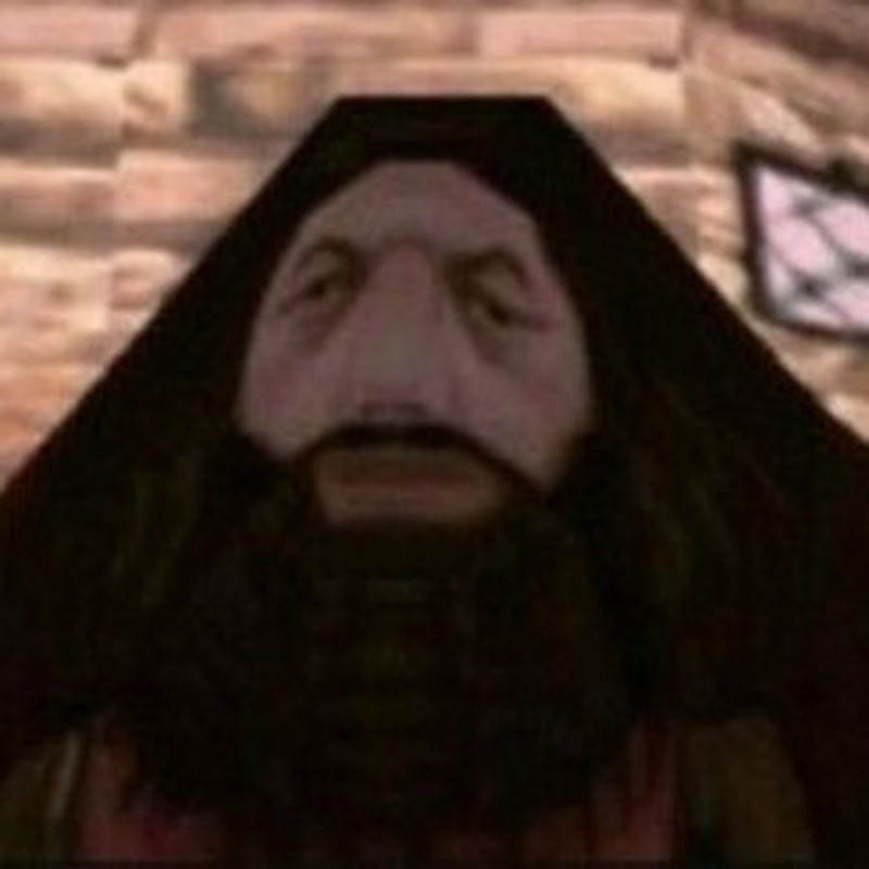 Create meme: hagrid ps 1, harry potter game, Hagrid Harry Potter