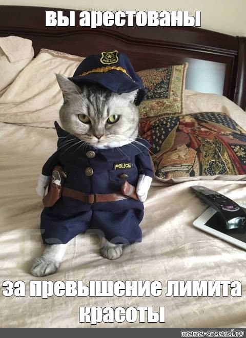 Создать мем: котик полицейский, коты в военной форме, кот в костюме