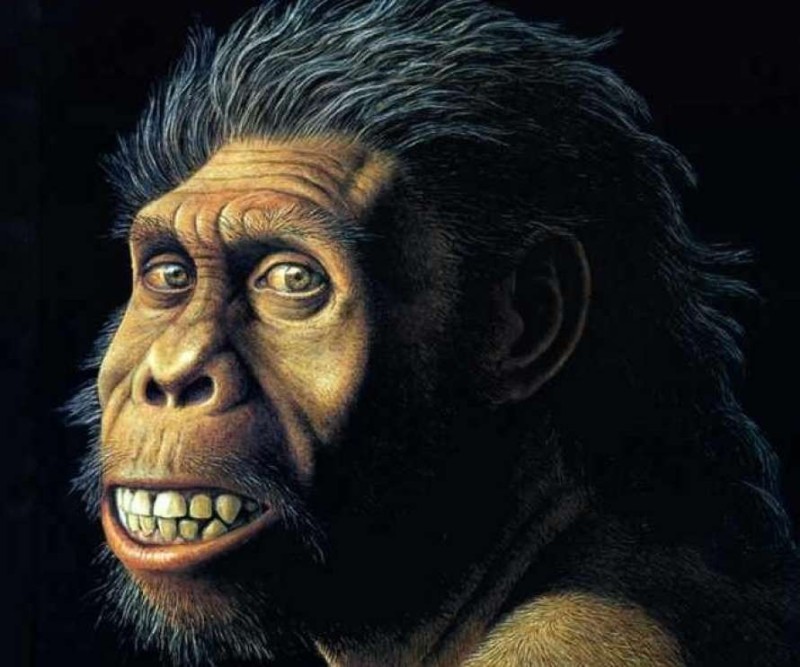 Create meme: homo georgicus (Georgian man) dmanisi, Pithecanthropus, sahelanthropus australopithecus