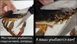 Create meme: this will kill the crab, My ancestors smile at me, the Imperials smile at you., crabs 
