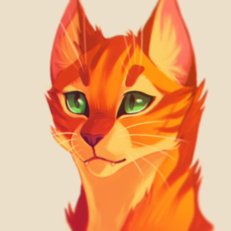 Create meme: warrior cats, firestar art, fire cat art