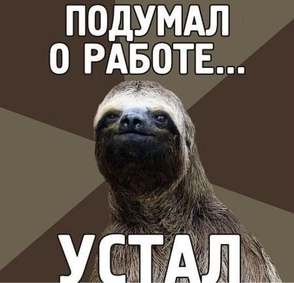 Create meme: meme sloth , sloth , sloth memes