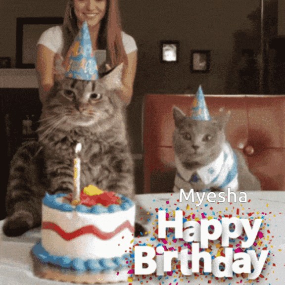 Create meme: with Dr. cat, fat cat with cake, cat 