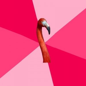 Create meme: pictures summer Flamingo, pink Flamingo meme, drawing flamingos with curved neck