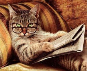 Create meme: literate cat, cat, cat scientist