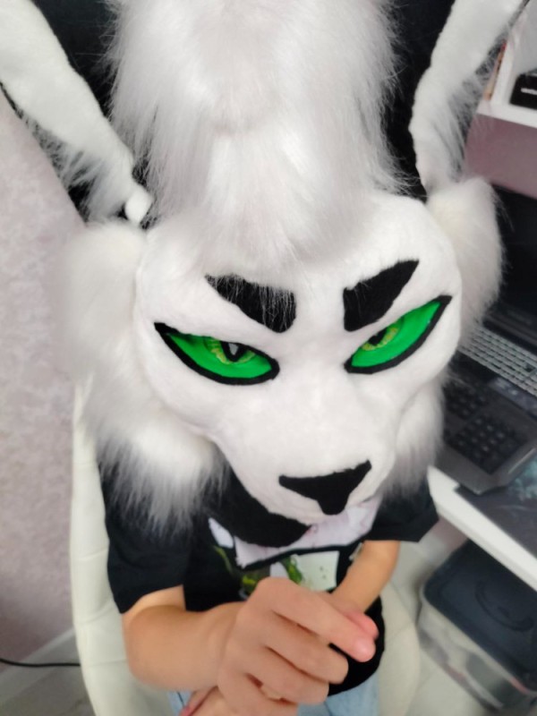 Create meme: pursuit, furcuts, fursuit head