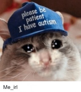 Create meme: be patient i have autism, the cat with the hat autism, please be patient i have autism cap cat