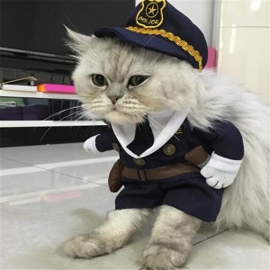 Создать мем: Кот-матрос, кошки в костюмах полиции, кот в костюме полицейского