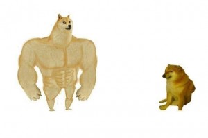 Создать мем: накаченный doge мем шаблон, качок доге и чимс мем, мускулистая собака
