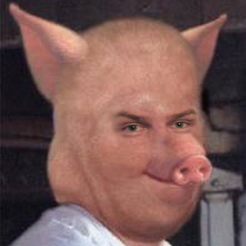 Создать мем: толик мем со свиньей, свинья, люди свиньи