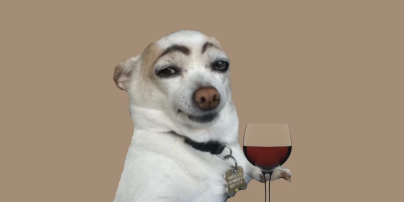 Create meme: meme dog , a dog with a glass of, a white dog with eyebrows