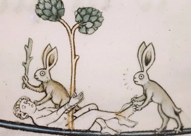 Создать мем: средневековый заяц с зубами, средневековые иллюстрации кролей, средневековые маргиналии зайцы