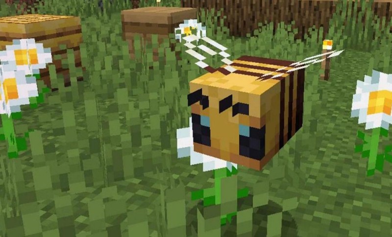 Create meme: bee from minecraft, bee , beehive in minecraft