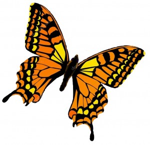 Create meme: butterfly sketch color, butterfly vector, butterfly drawings realistic vector