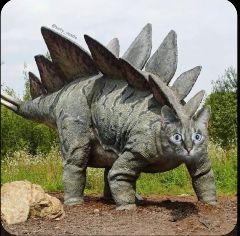 Create meme: stegosaurus, Styracosaurus dinopark, Stegosaurus dinotopia