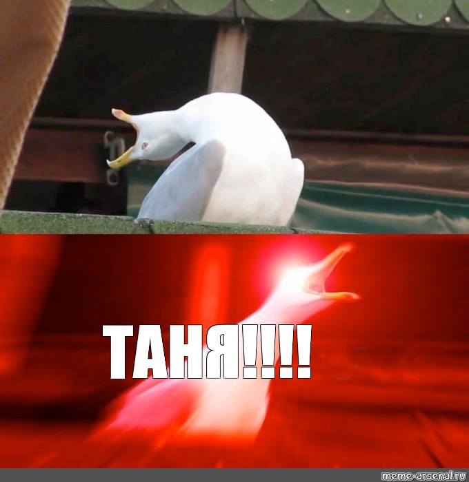 Seagull laughing meme - 🧡 Мем: "ДААААА ЗАЕБАЛИ" - Все шаблоны - Meme...