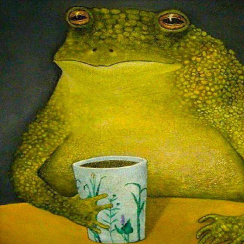 Create meme: toad frog, painting frog, honey toad