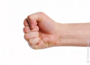 Create meme: fist man on white background, the hand with the fist PNG, fist PNG