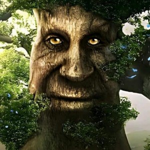 Создать мем: мудрое дерево, дерево с изображением лица, мистическое дерево