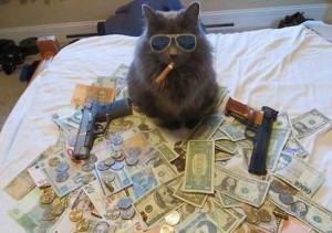 Создать мем: кот с пистолетами, деньги, кот мафиози