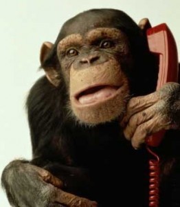 Создать мем: обезьяна улыбается и звонит, обезьяна звонит, обезьяна с телефоном