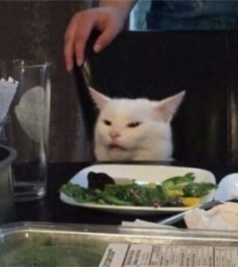Create meme: memes with a cat at the table, cat meme, cats