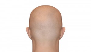 Создать мем: bald, лысая голова сзади, затылок