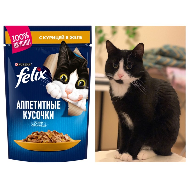 Create meme: feliks cat food mouth-watering pieces, felix's food delicious pieces, feliks cat food