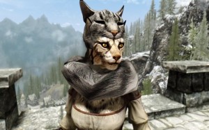 Создать мем: каджит скайрим, skyrim special edition, khajiit