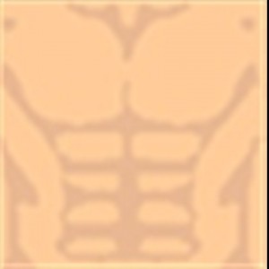 muscle t-shirt - Roblox